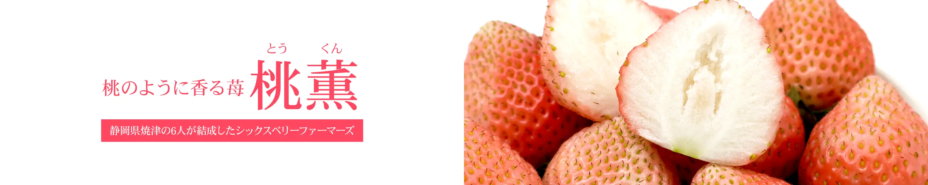 桃のように香る苺「桃薫」