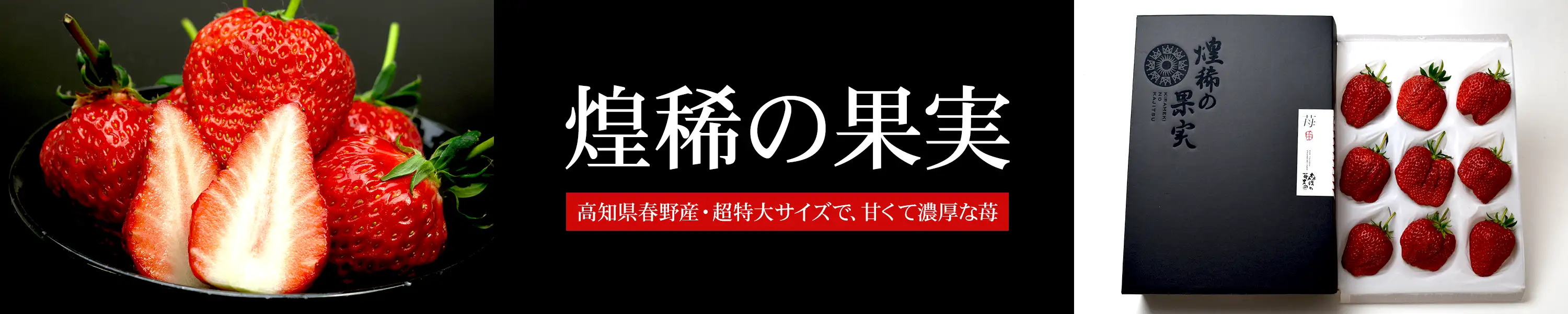 高知県春野産「森強の完熟いちご」