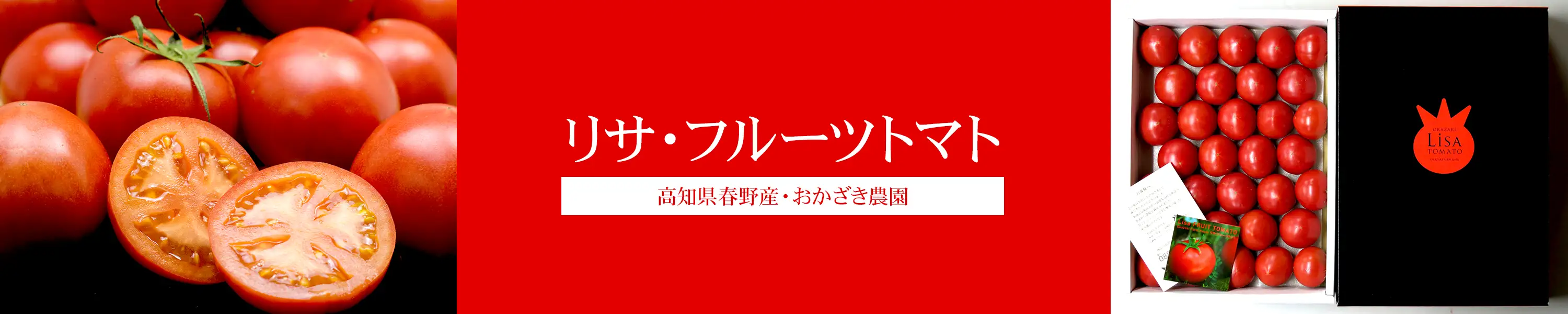 高知県春野産おかざき農園の「リサ・フルーツトマト」