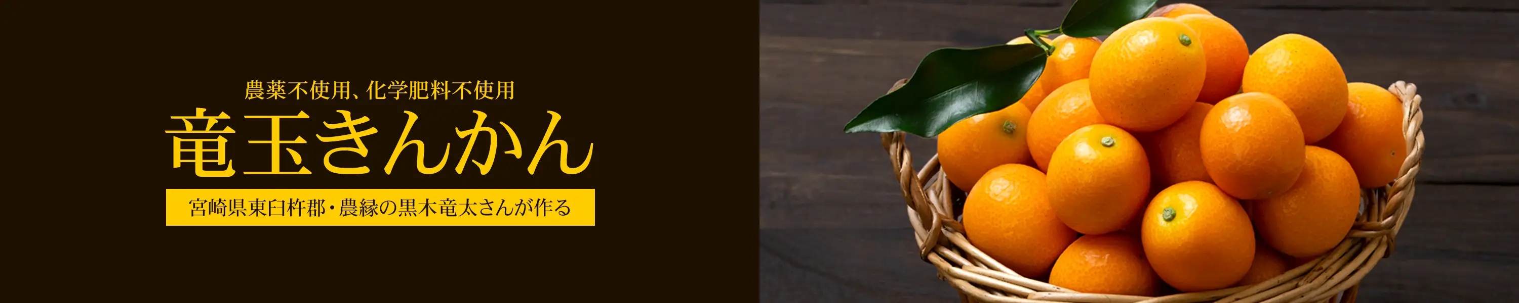 農縁・黒木竜太 農薬不使用、化学肥料不使用「竜玉きんかん」