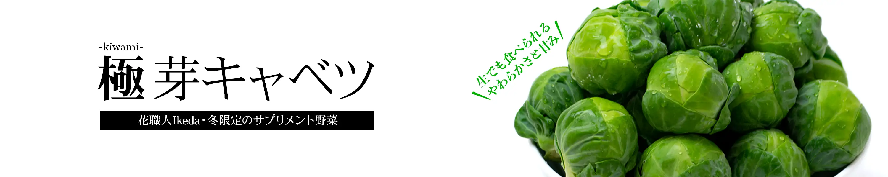 冬限定のサプリメント野菜 生でも食べられるやわらかさと甘み「極 kiwami 芽キャベツ」