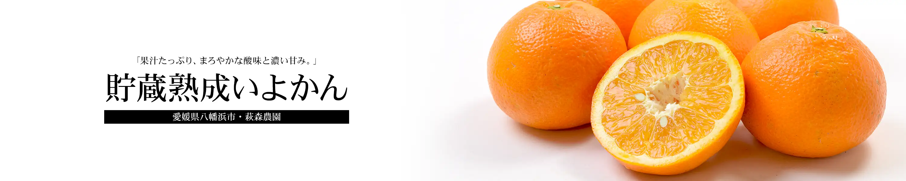 愛媛県八幡浜市・萩森農園 果汁たっぷり、まろやかな酸味と濃い甘み。「貯蔵熟成いよかん」