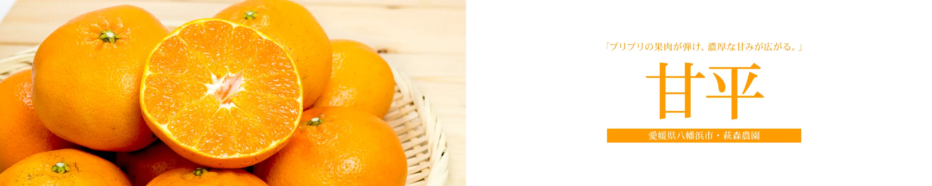 プリプリの果肉が弾け、濃厚な甘みが広がる。愛媛県八幡浜市「萩森農園の甘平」