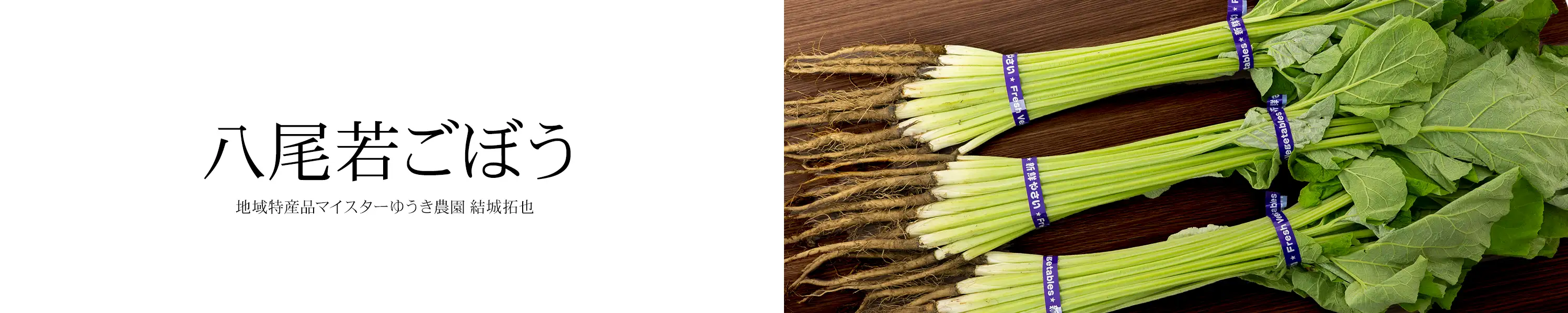 地域特産品マイスター ゆうき農園 結城拓也「八尾若ごぼう」