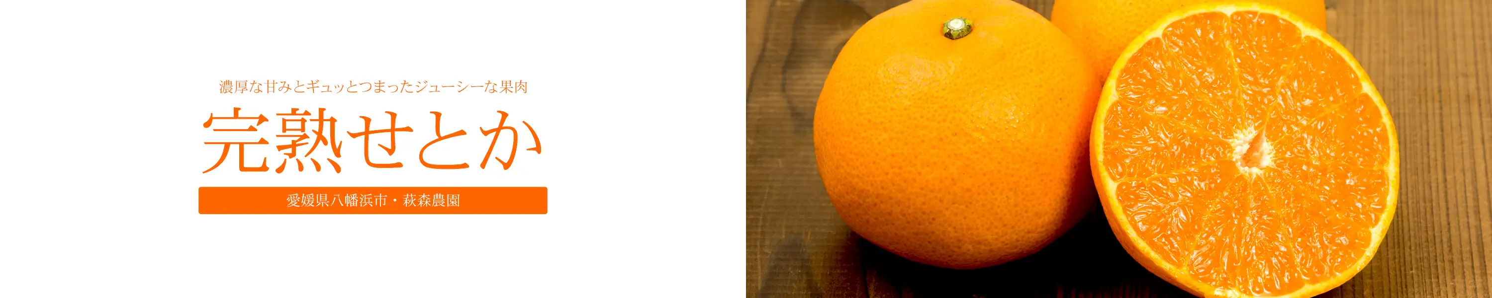 愛媛県八幡浜市・萩森農園「完熟せとか」濃厚な甘みとギュッとつまったジューシーな果肉