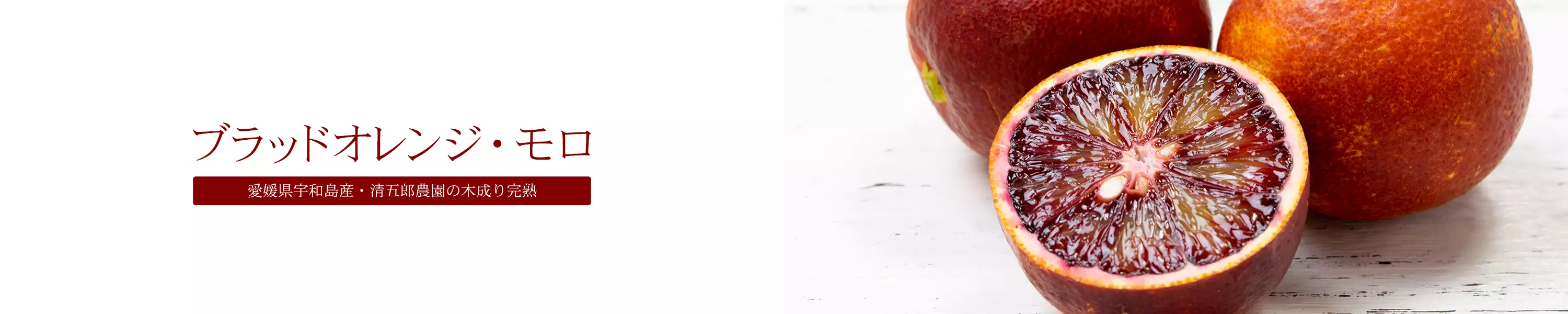 愛媛県宇和島産 清五郎農園の木成り完熟「ブラッドオレンジ・モロ」