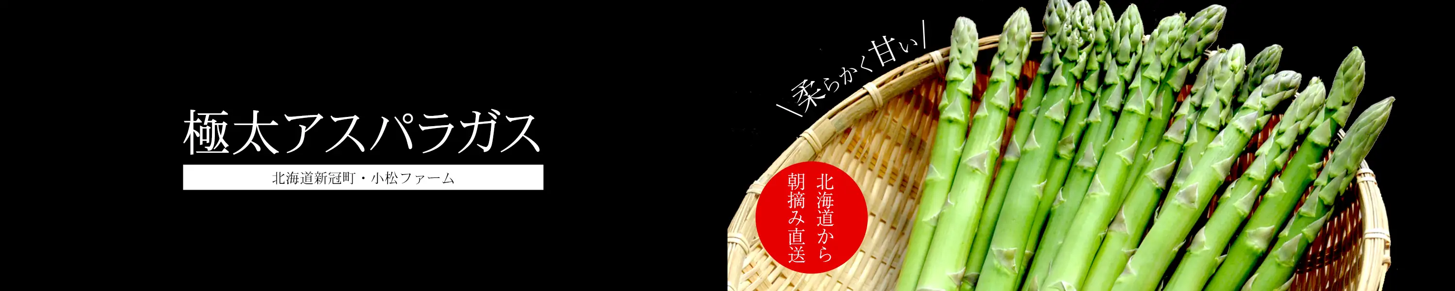 北海道新冠町・小松ファーム「極太アスパラガス」