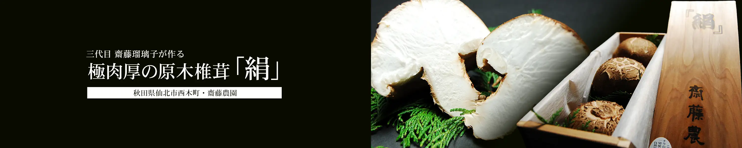 三代目 齋藤瑠璃子が作る極肉厚の原木椎茸『絹』