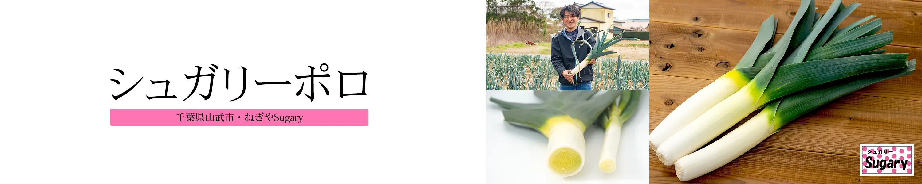 シュガリーポロ
Sugary Poro