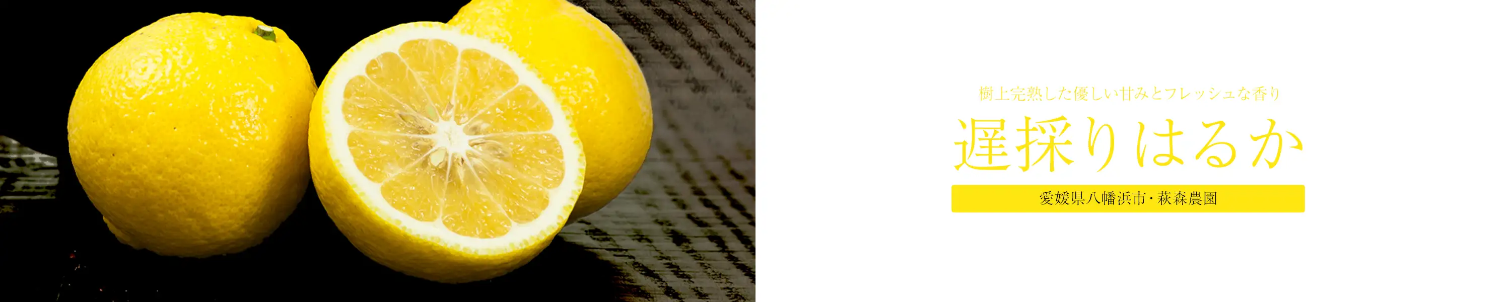 樹上完熟した優しい甘みとフレッシュな香り 愛媛県八幡浜市・萩森農園「遅採りはるか」