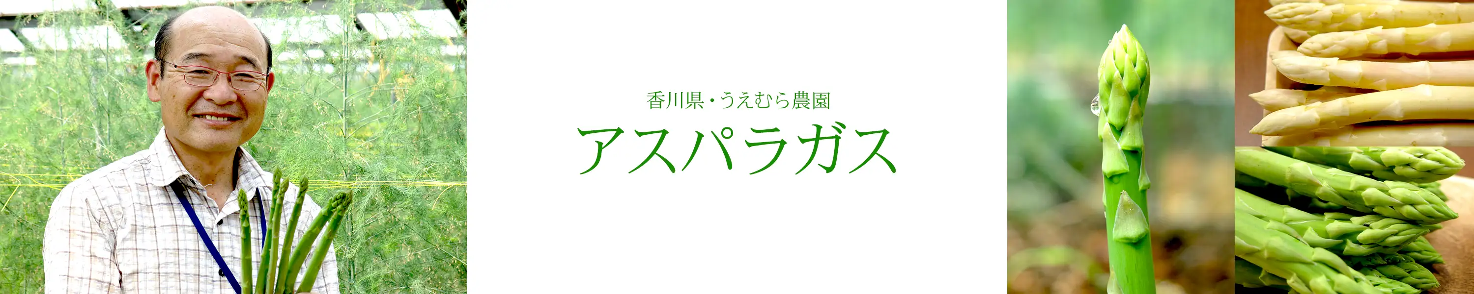 香川県・うえむら農園「アスパラガス」