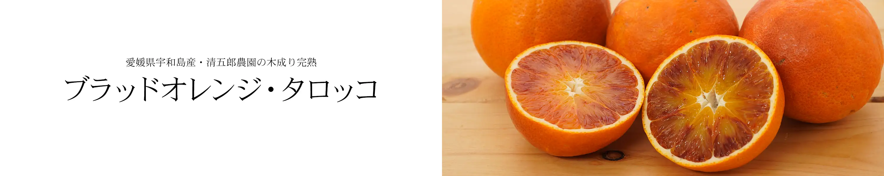 愛媛県宇和島産・清五郎農園の木成り完熟「ブラッドオレンジ・タロッコ」