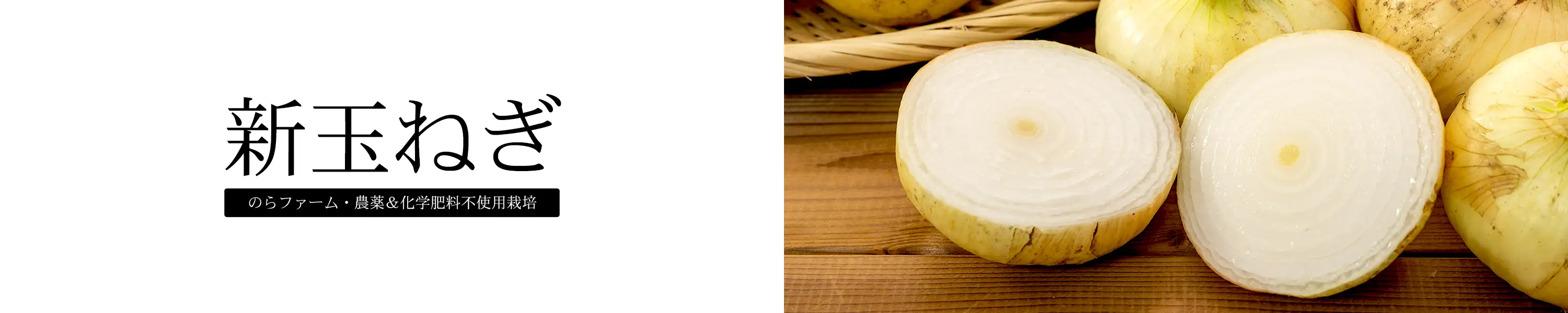 農薬・化学肥料不使用栽培 のらファーム「新玉ねぎ」