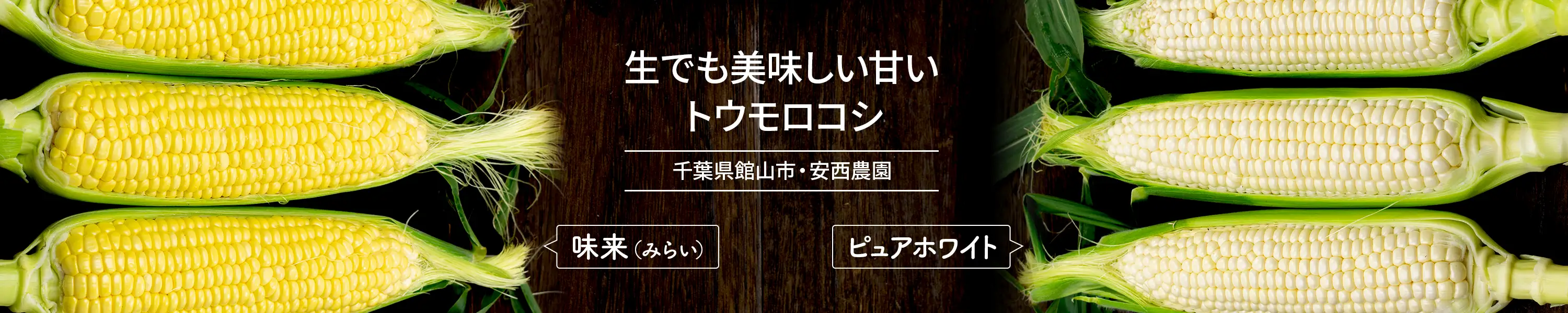 安西農園・生でも美味しい甘いトウモロコシ「味来（みらい）・ピュアホワイト」