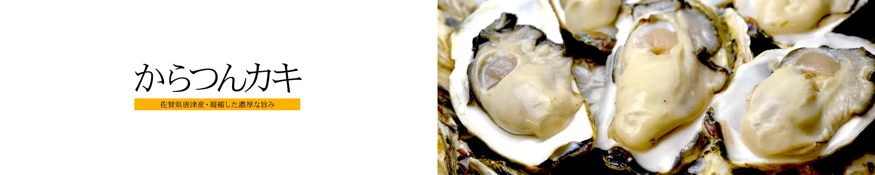佐賀県唐津産・凝縮した濃厚な旨み「からつんカキ」
