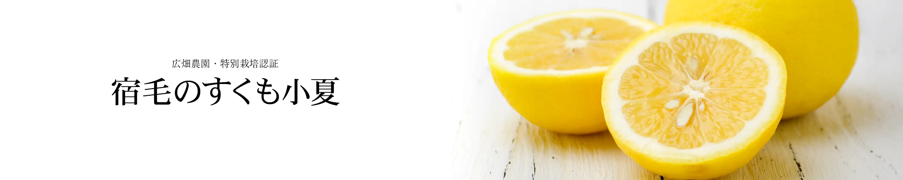 広畑農園・特別栽培認証「宿毛のすくも小夏」