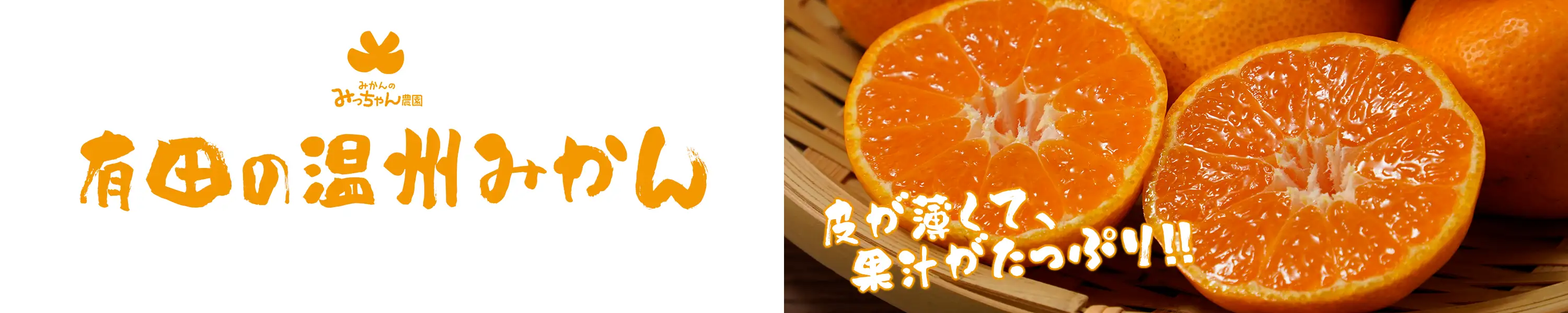 みかんのみっちゃん農園 皮が薄くて果汁がたっぷり「有田の温州みかん」