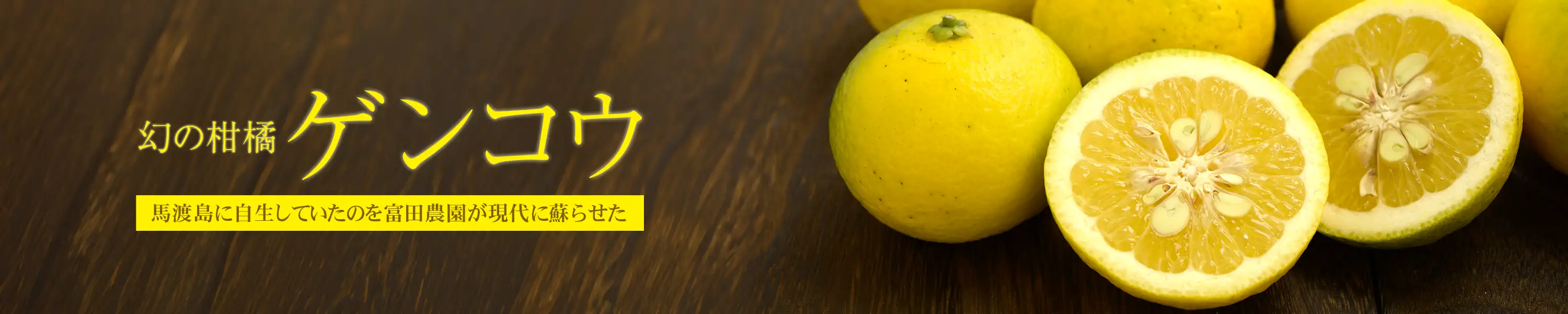 馬渡島に自生していたのを富田農園が現代に蘇らせた幻の柑橘「ゲンコウ」