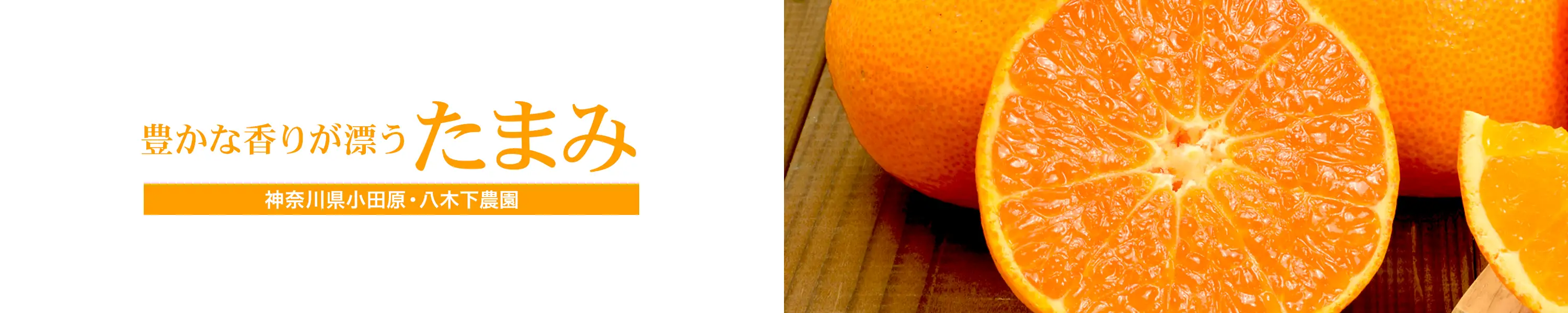 神奈川県小田原・八木下農園 豊かな香りが漂う「たまみ」