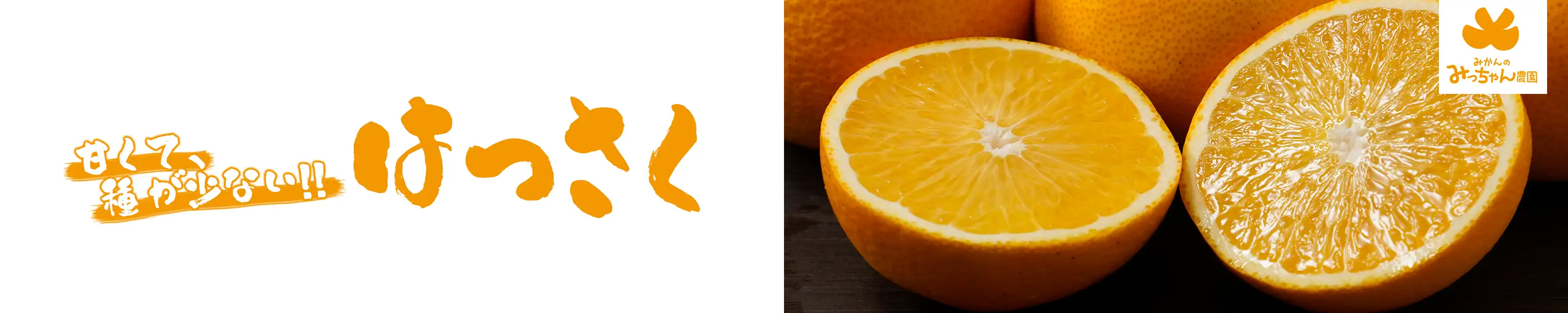 みかんのみっちゃん農園「甘くて、種が少ない!!はっさく」