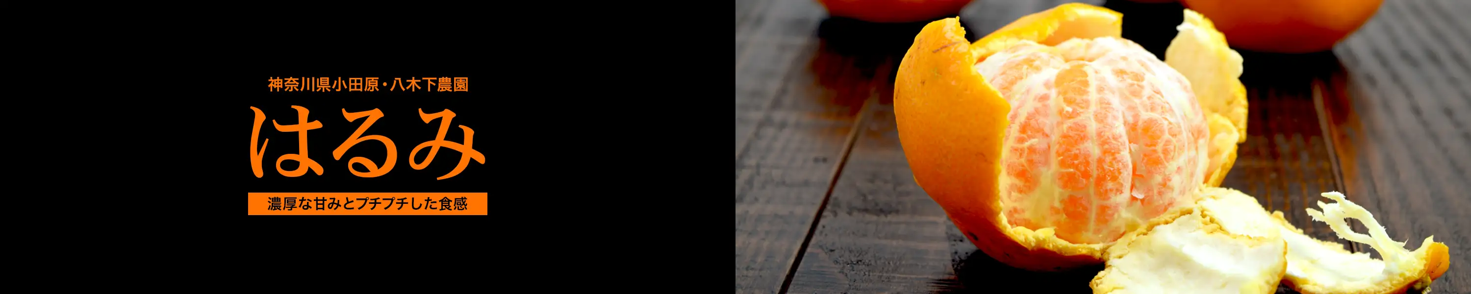 神奈川県小田原・八木下農園の濃厚な甘みとプチプチした果肉の食感「はるみ」