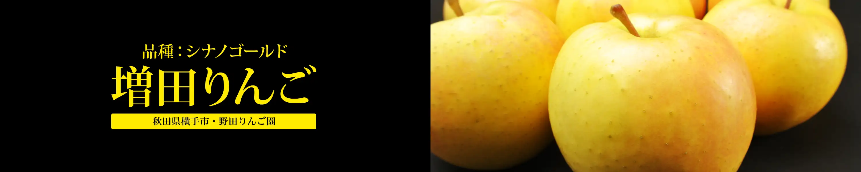 秋田県横手市・野田りんご園「増田りんご（品種：シナノゴールド）」