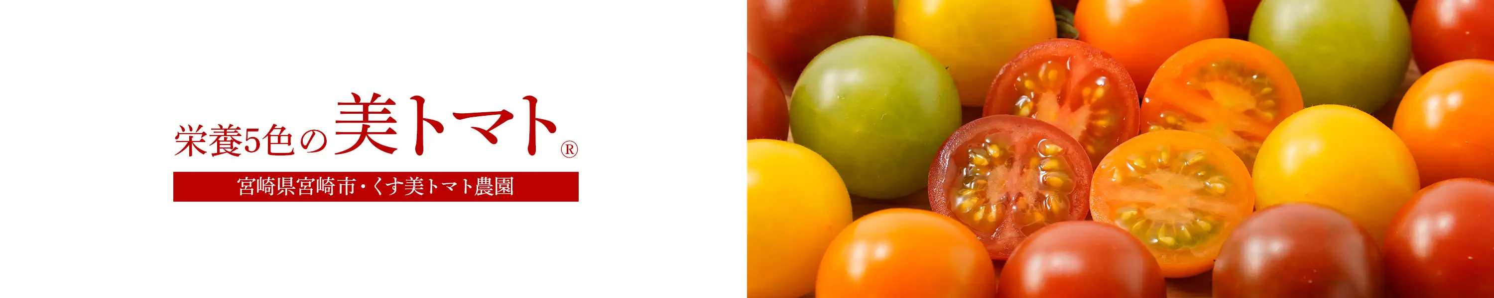くす美トマト農園 栄養5色の「美トマト®」