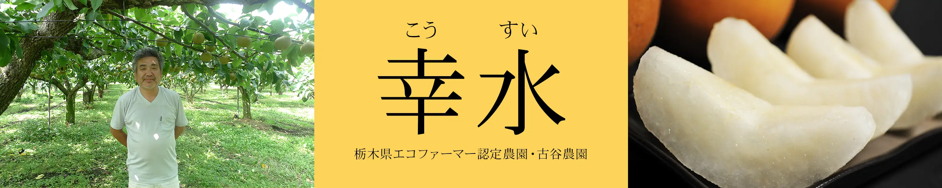 古谷農園謹製「幸水」