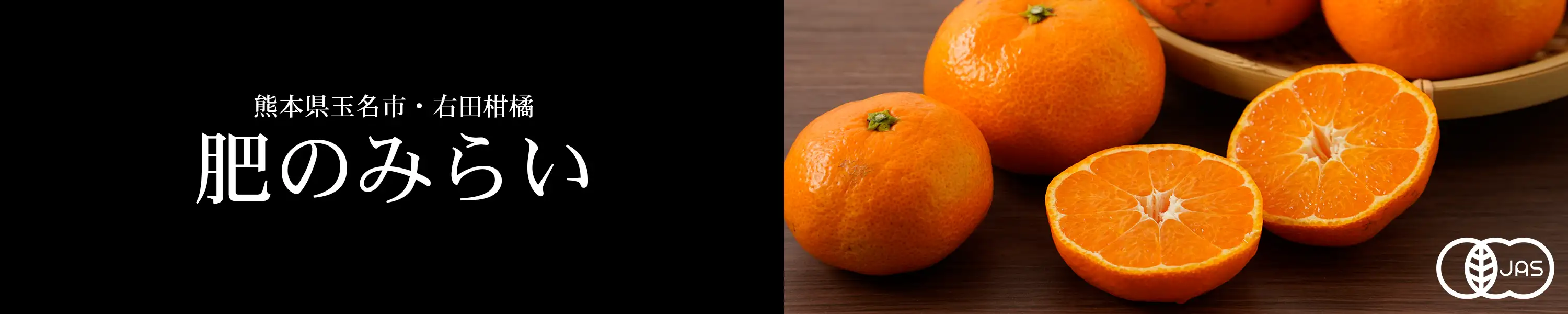 熊本県玉名市・右田柑橘「肥のみらい」