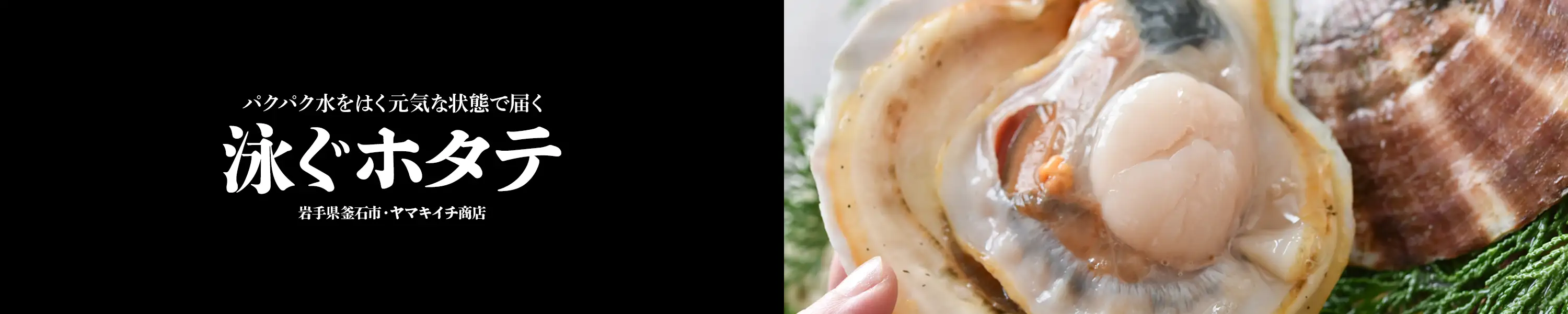 岩手県釜石市・ヤマキイチ商店 パクパク水をはく元気な状態で届く「泳ぐホタテ」