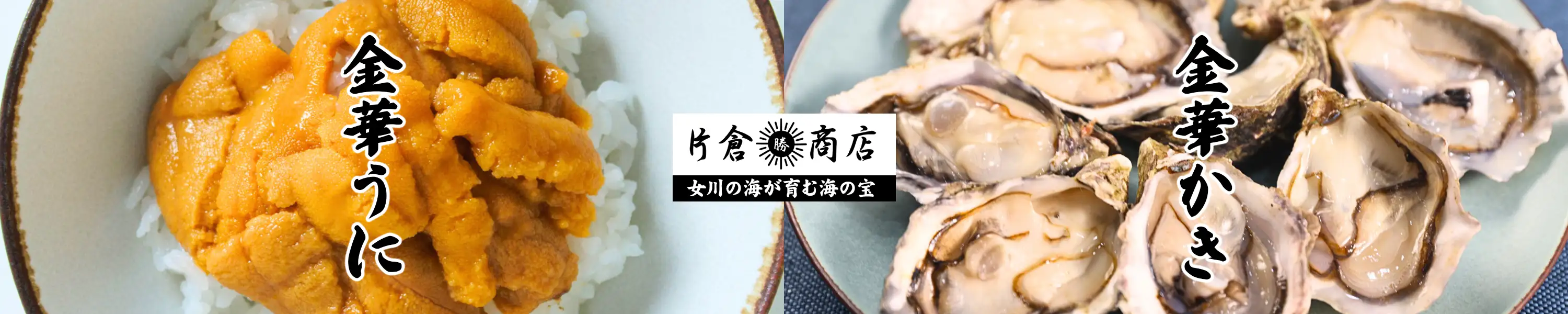 片倉商店 女川の海が育む海の宝「金華うに・金華かき」