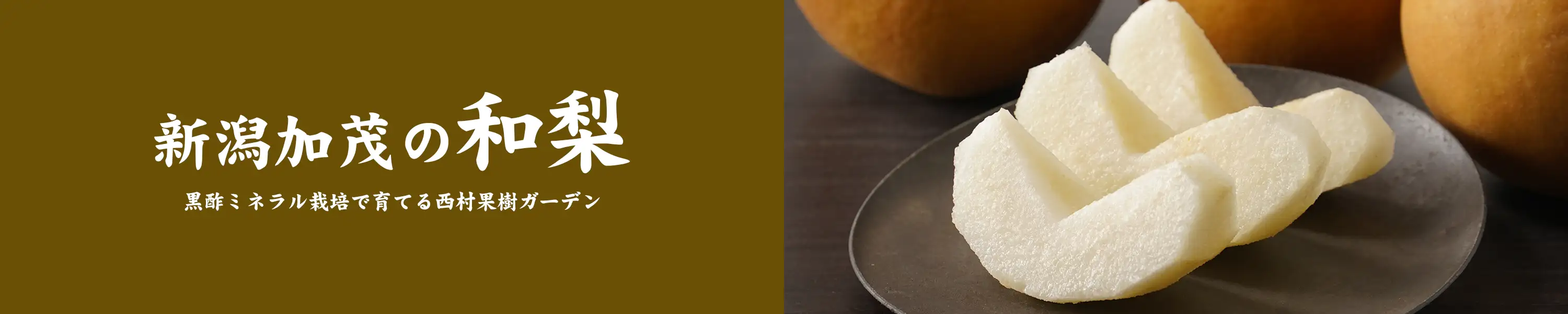 黒酢ミネラル栽培で育てる西村果樹ガーデン「新潟・加茂の和梨」