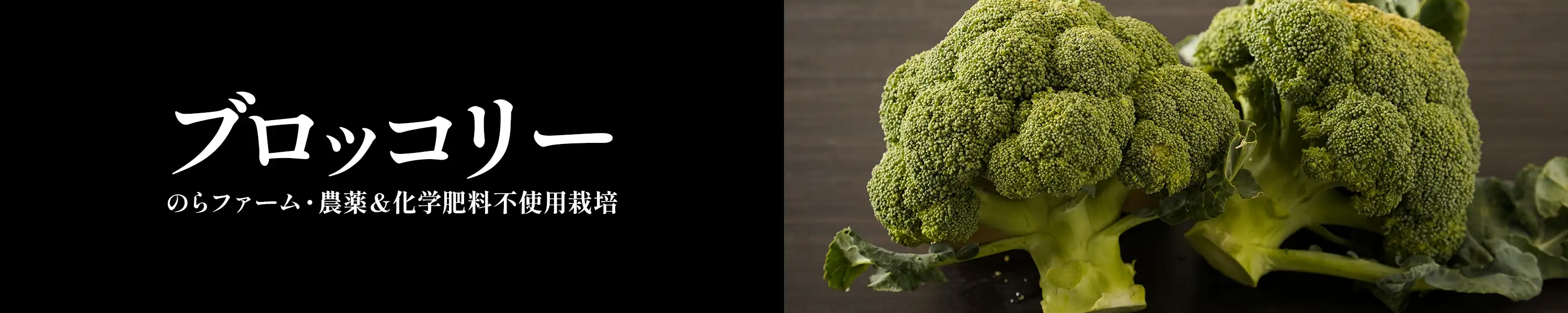 のらファーム・農薬＆化学肥料不使用栽培「ブロッコリー」