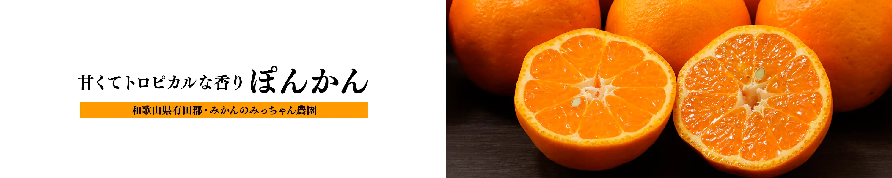 みかんのみっちゃん農園「甘くてトロピカルな香り ぽんかん」