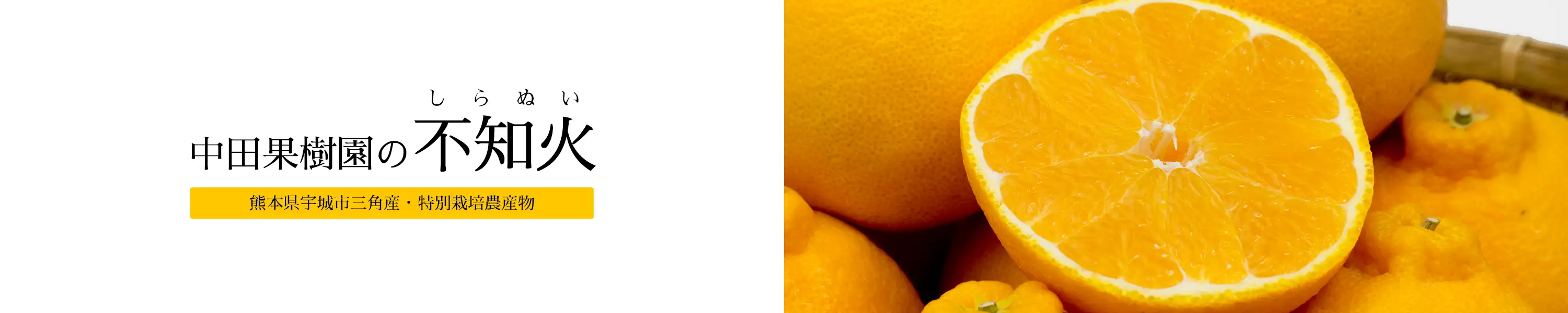 熊本県三角産中田果樹園の特別栽培農産物「不知火」