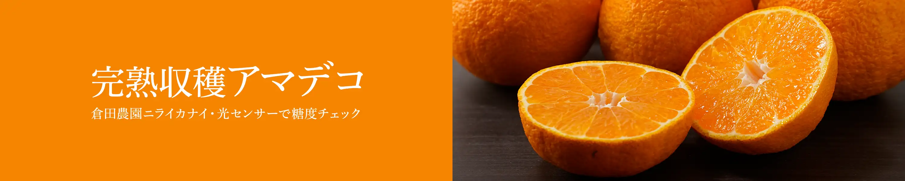 倉田農園ニライカナイ・光センサーで糖度チェック「完熟収穫アマデコ」