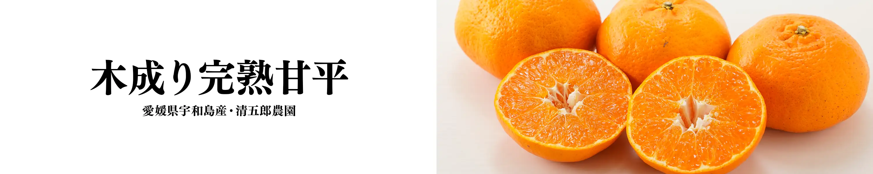 清五郎農園「木成り完熟甘平」
