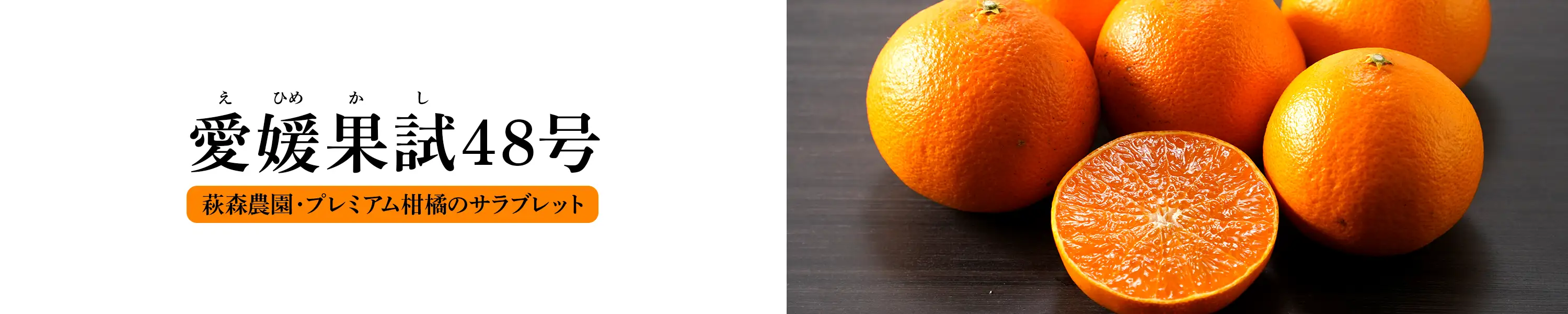 萩森農園・プレミアム柑橘のサラブレット「愛媛果試48号」