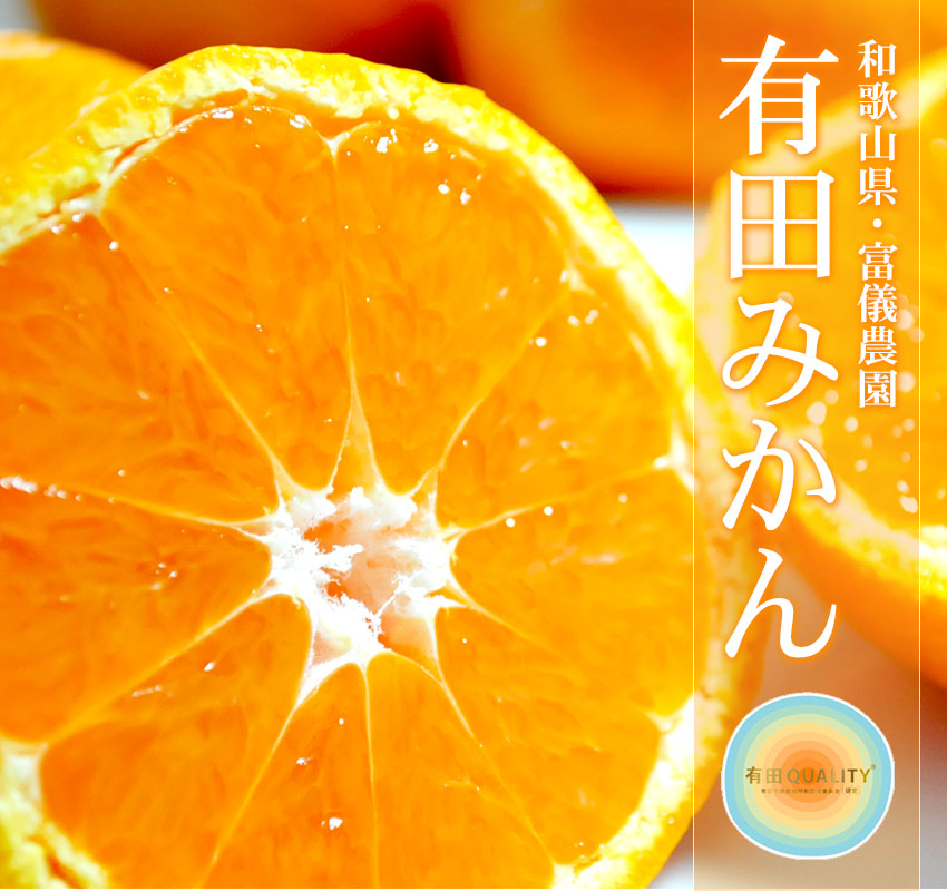 和歌山県・富儀農園 有田みかん