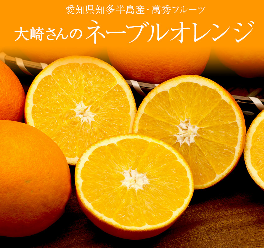 愛知県知多半島産・萬秀フルーツ「大崎さんのネーブルオレンジ」