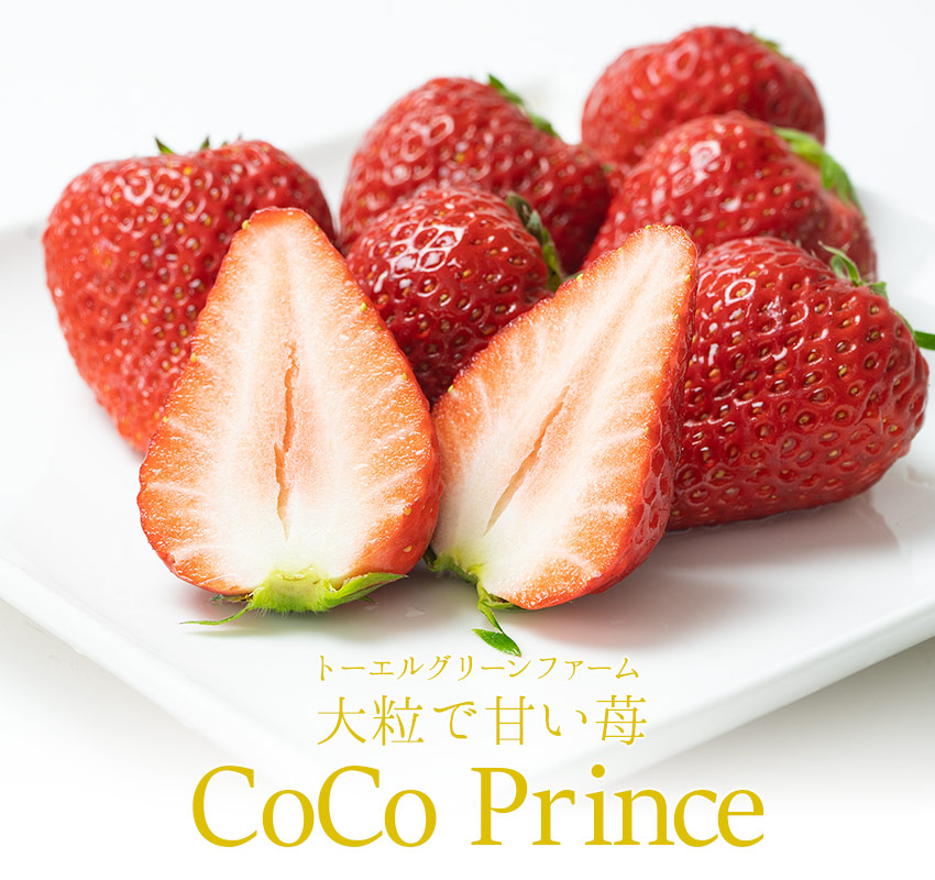 トーエルグリーンファームの大粒で甘い苺「Princess CoCo」