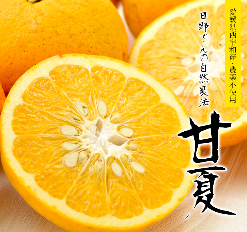 冨士丸（柑橘） | 無農薬甘夏 | 安心堂