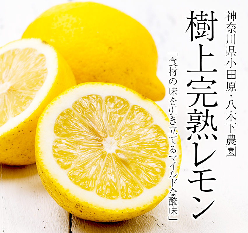 神奈川県小田原・八木下農園 食材の味を引きたてるマイルドな酸味「樹上完熟レモン」