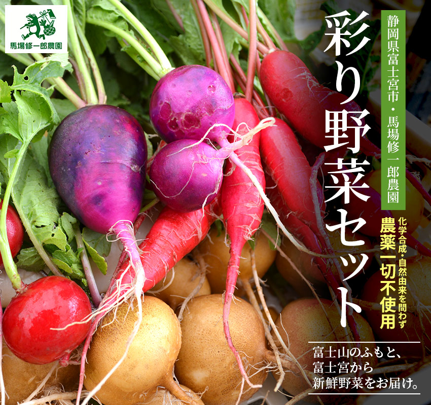 静岡県富士宮市・馬場修一郎農園「彩り野菜セット」富士山のふもと、富士宮から新鮮野菜をお届け。化学合成・自然由来を問わず農薬一切不使用。