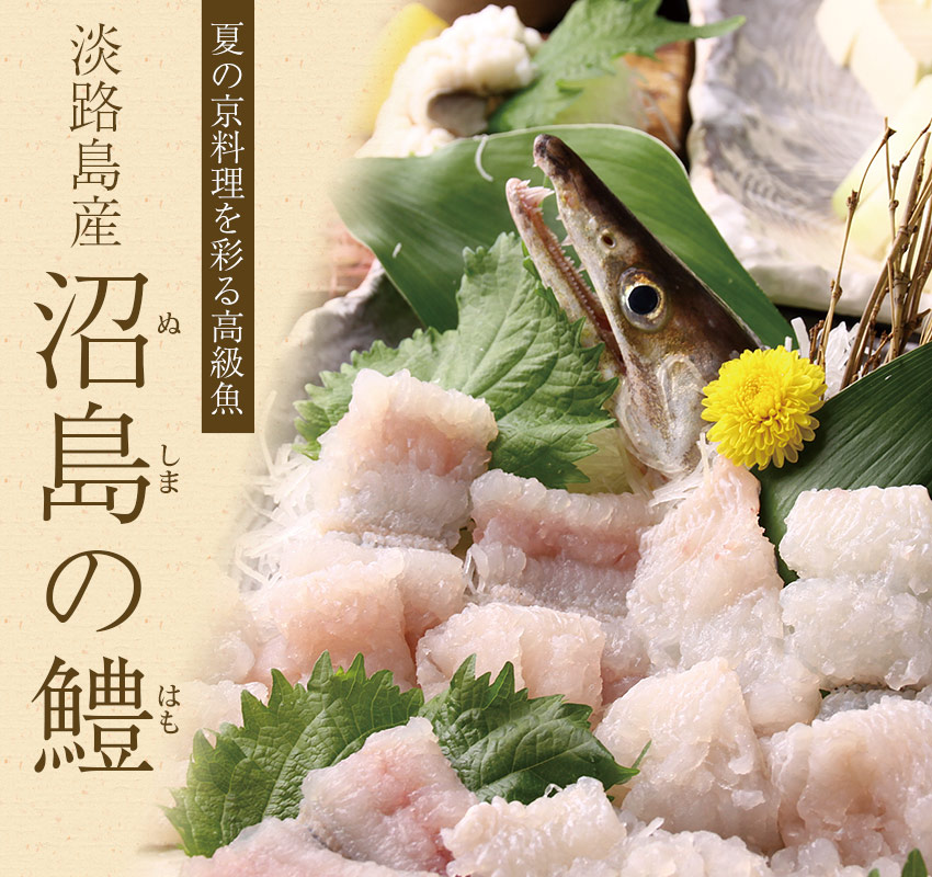 夏の京料理を彩る高級魚「淡路島産 沼島の鱧（ハモ）」