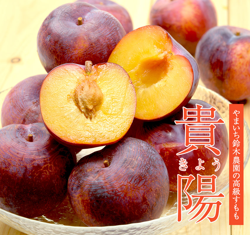 やまいち鈴木農園 すもも「貴陽」