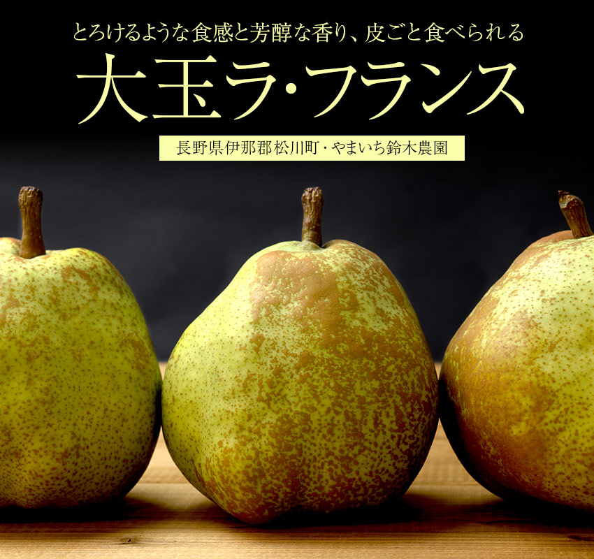 長野県伊那郡松川町・やまおいち鈴木農園　とろけるような食感と芳醇な香り、皮ごと食べられる「大玉ラ・フランス」