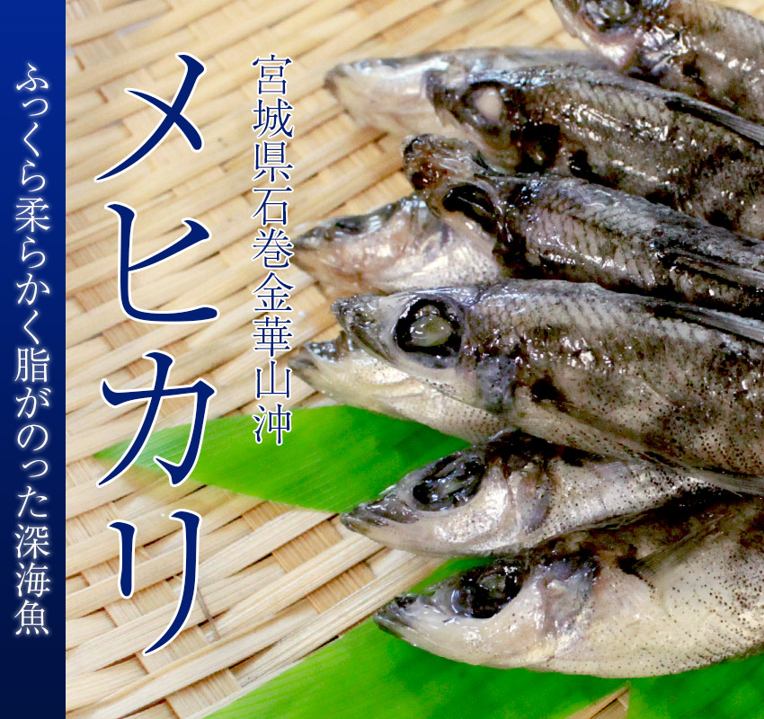 宮城県石巻金華山沖「メヒカリ」ふっくら柔らかく脂がのった深海魚