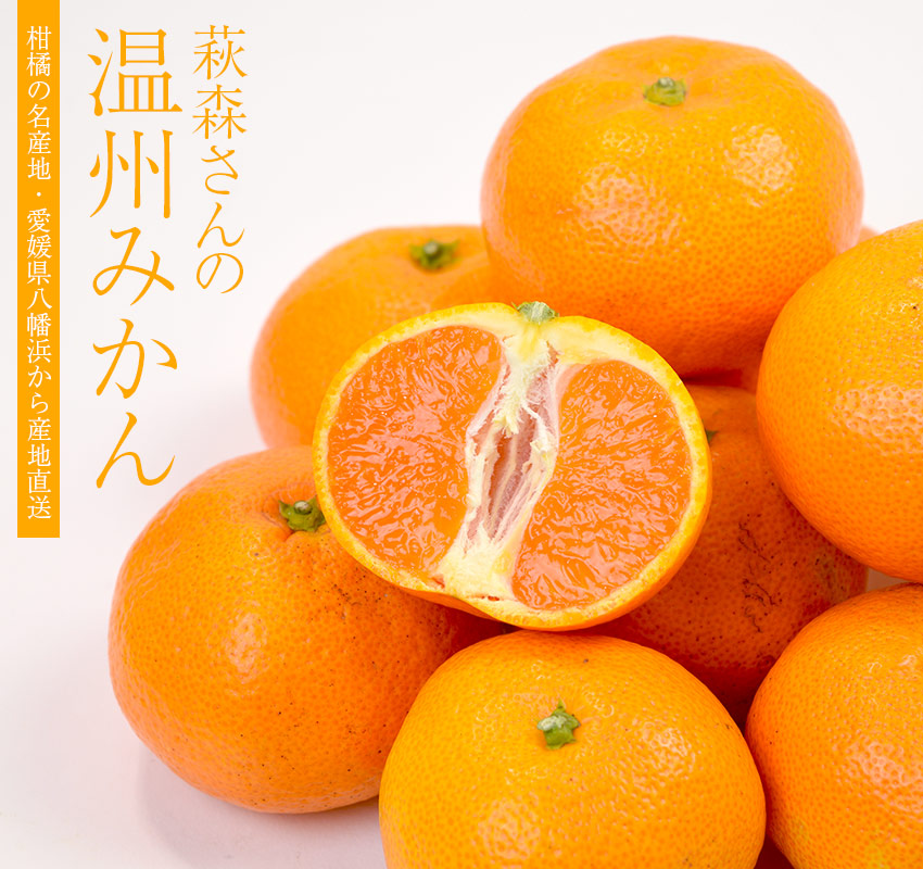 萩森さんの温州みかん
柑橘の名産地・愛媛県八幡浜から産地直送