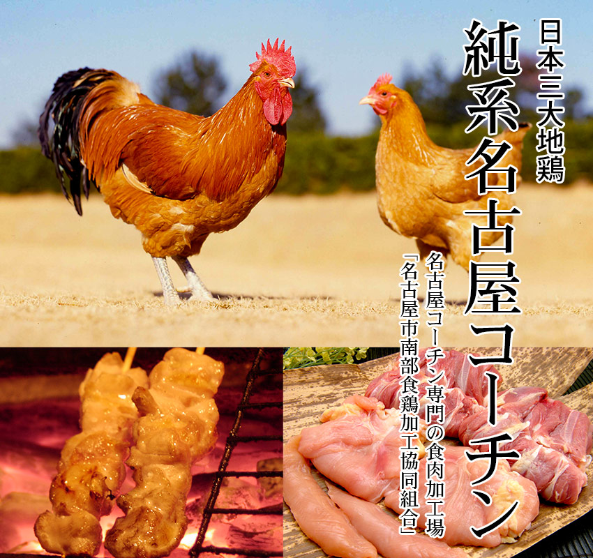 名古屋市南部食鶏加工協同組合 純系名古屋コーチン 安心堂